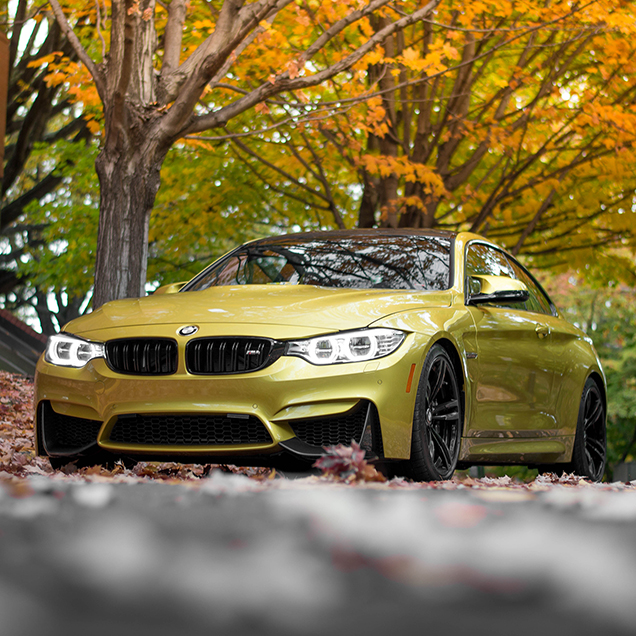 Photoshoot with four BMW M-cars
